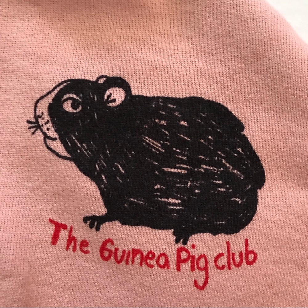 SOLD New Mini Rodini Guinea Pig Dress - pink - Picture 6 of 8